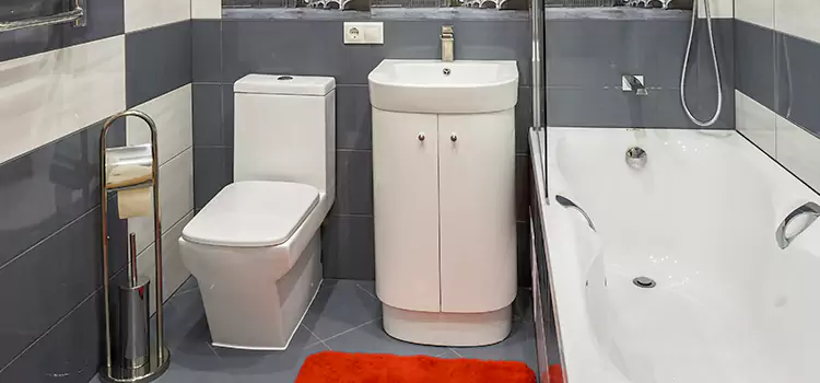 Hansgrohe Shaving Mirror Owatonna